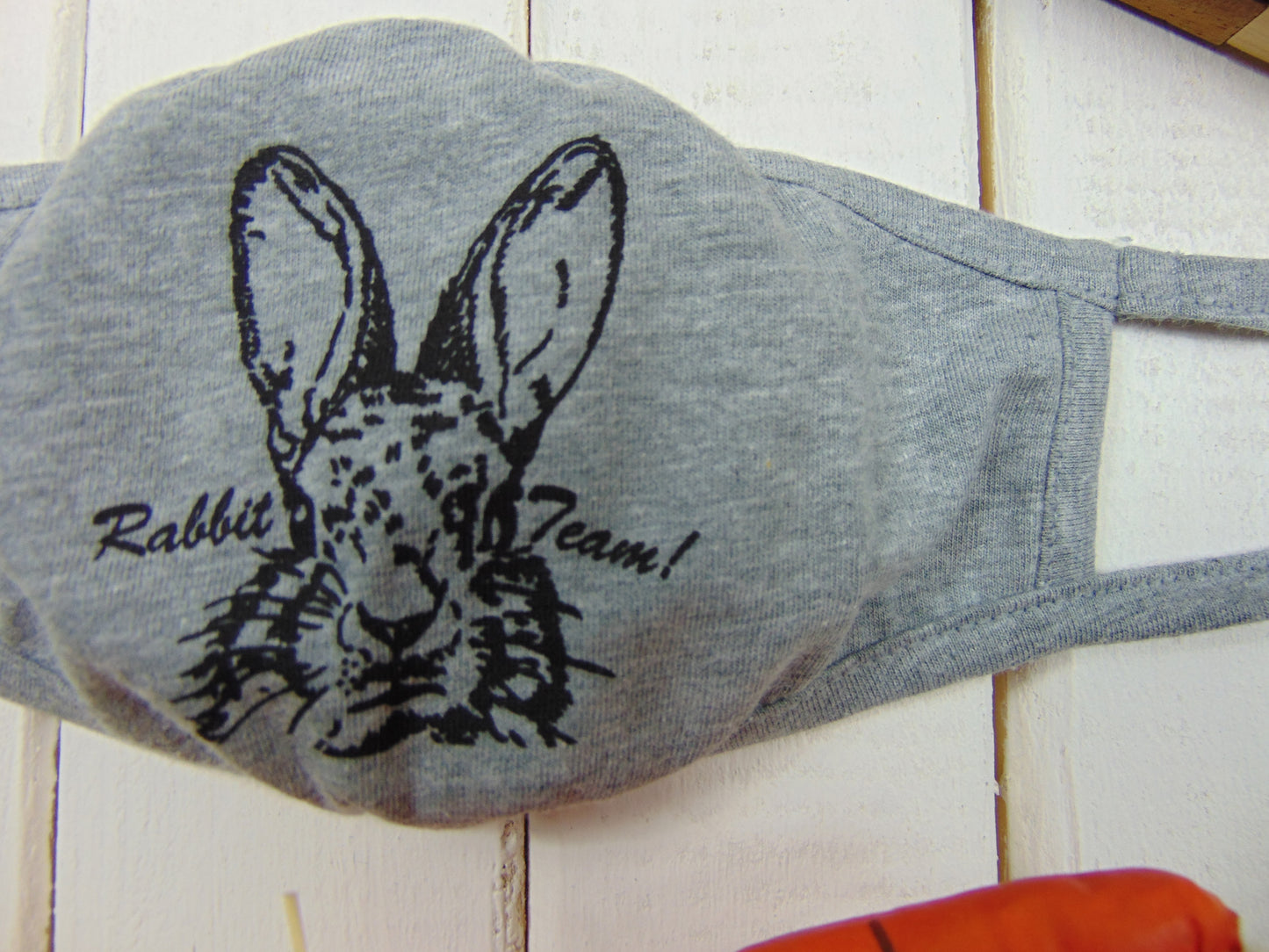 Art Mina Rabbit Youth Eco Face Mask