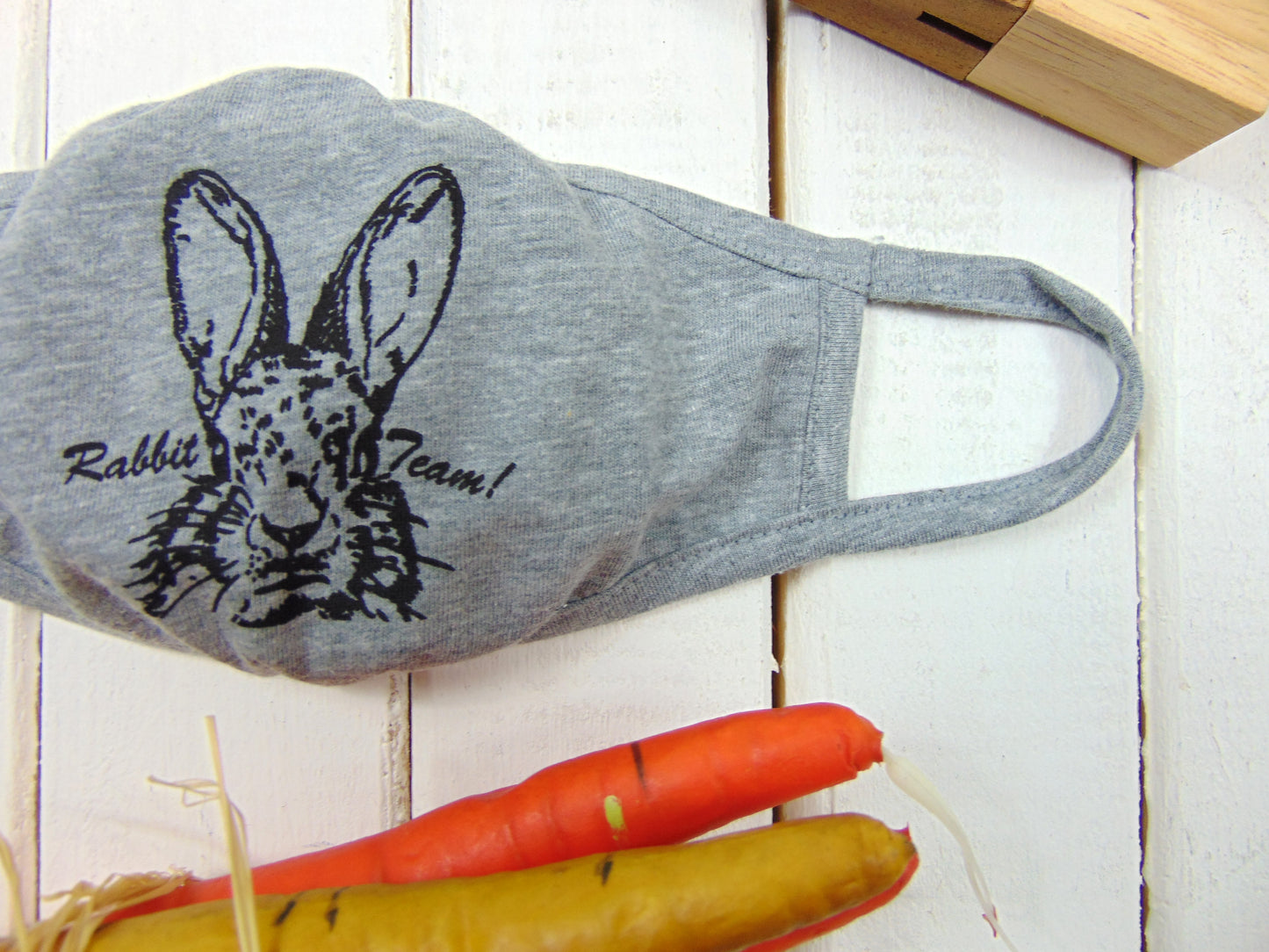 Art Mina Rabbit Youth Eco Face Mask