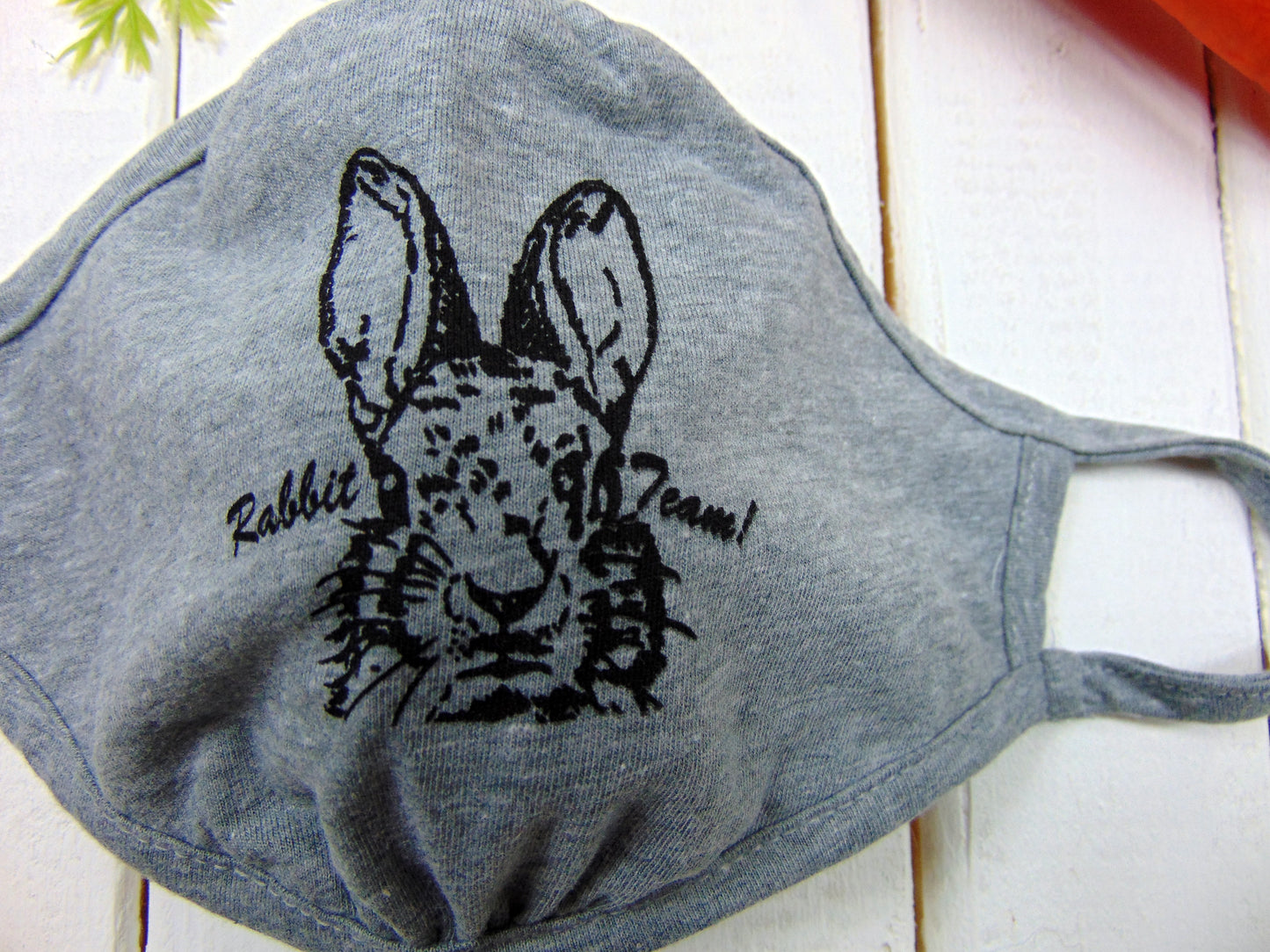 Art Mina Cloth Face Mask Rabbit